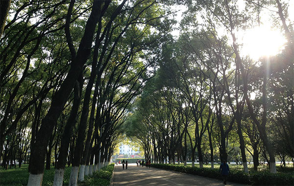 修煉後的李軍民,心性和思想境界提高了,性格也變得樂觀、開朗,對人更加善良、寬容和真誠。圖為華中科技大學校內路。(Glrain/維基百科)