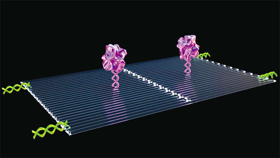 納米機器人是在人為的調控下,定向導引傳輸,行走在人體中,可精確殺死人體細胞的微型機器人。圖為美亞利桑那州立大學發明DNA納米機器人。(視頻截圖)