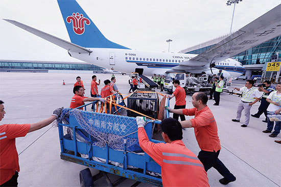 倫敦帝國理工學院的報告指,通過武漢天河國際機場的航空流量和一些國家對病毒的檢測敏感度,估計約有三分之二從中國流出的病例尚未被檢測到。(Getty Images)