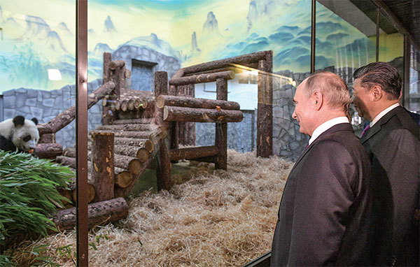 普京透過俄外長稱「中俄交好關係沒有用來對抗西方」，表態中俄並非盟友，澄清中共渲染的「不是盟友勝似盟友」的中俄關係。圖為2019年6月5日，習近平訪俄期間與普京出席莫斯科動物園熊貓館開館儀式。（Alexander Vilf / Sputnik / AFP）