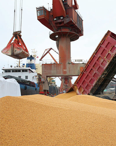 4月4日,中共當局稱將對500億美國商品包括大豆,加徵25%關稅。分析認為,中共此舉損人更損己。圖為中國江蘇省南通市港口,工人正在處理進港的大豆。(Getty Images)